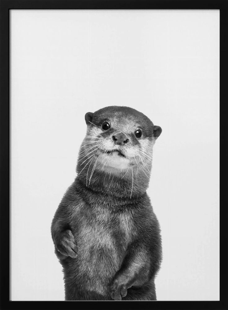 Otter | Poster