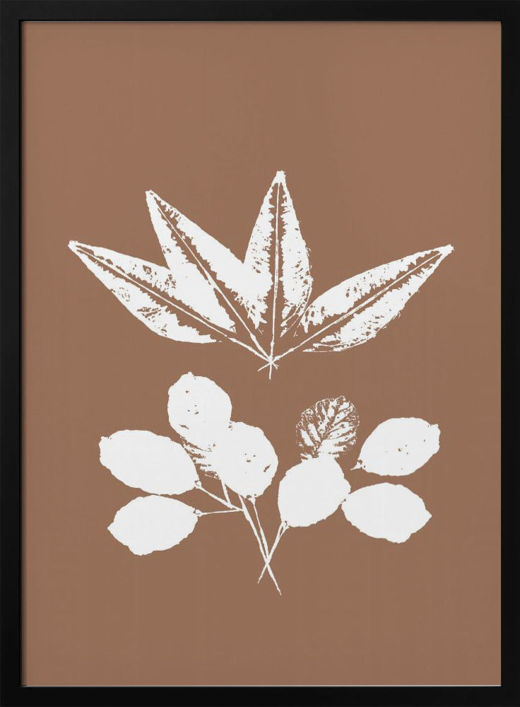 Botanical Silhouettes | Poster