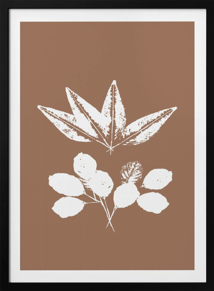 Botanical Silhouettes | Poster