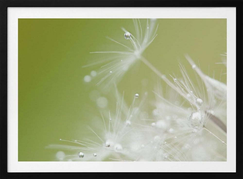 Green | Poster
