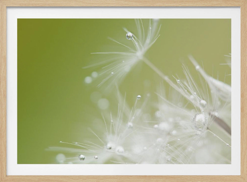 Green | Poster
