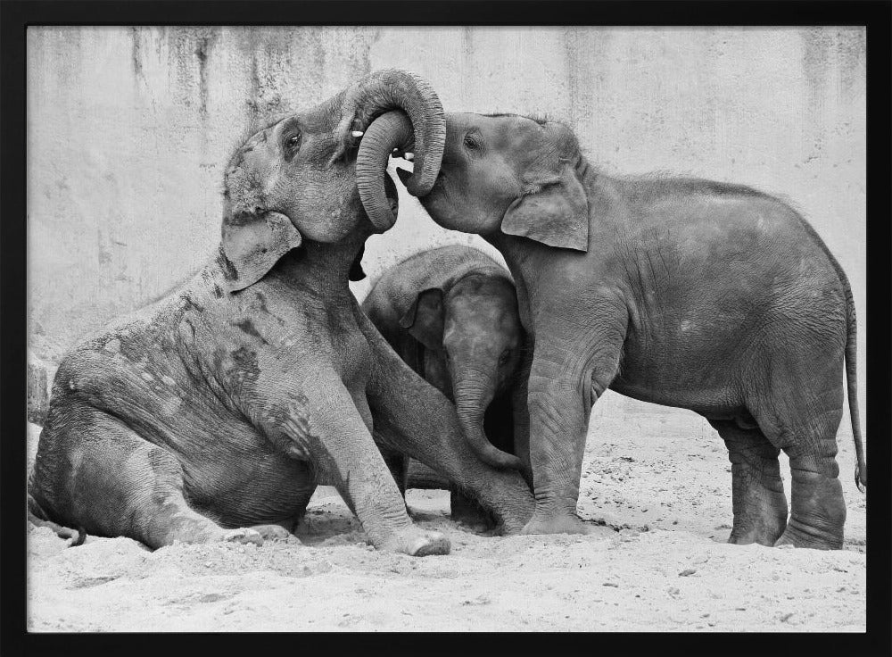 MÉNAGE À TROIS | Poster