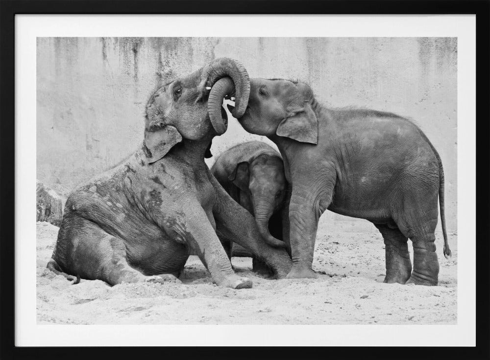 MÉNAGE À TROIS | Poster