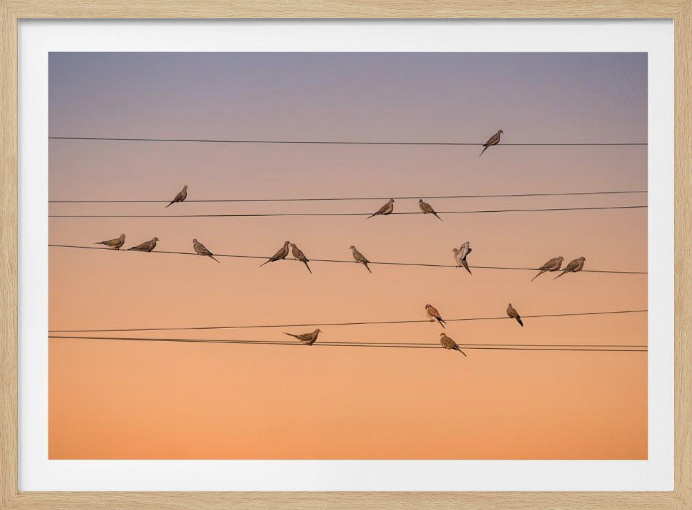 Music of Light | Poster