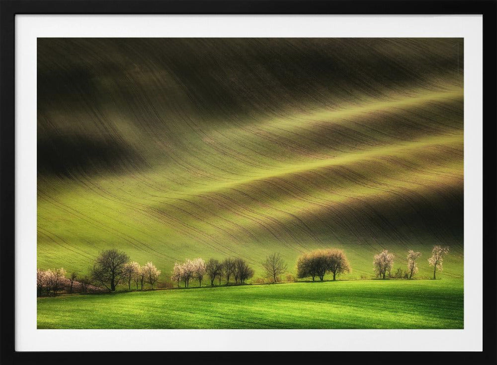 Moravian Fields | Poster