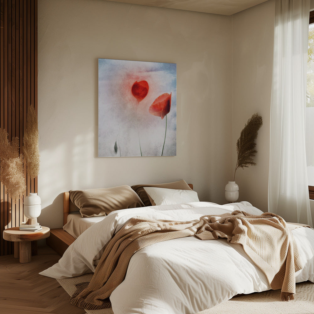 In Flanders Fields | Canvas