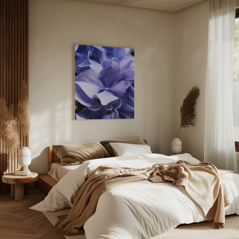 Delicate Purple Hydrangea Petals | Canvas