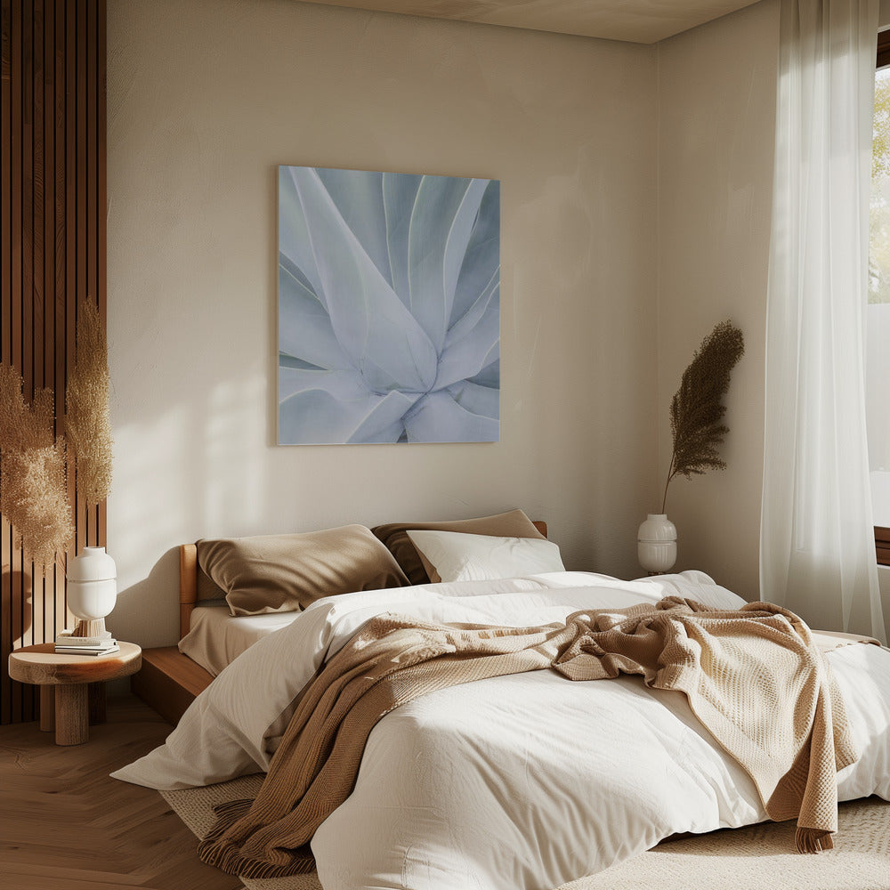 Silvery Succulent | Canvas