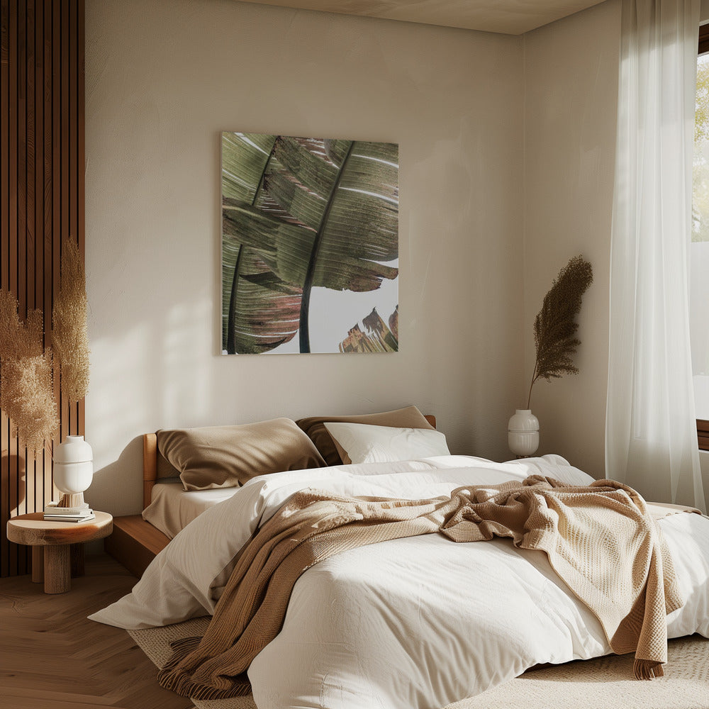 Tropical Serenity | Canvas