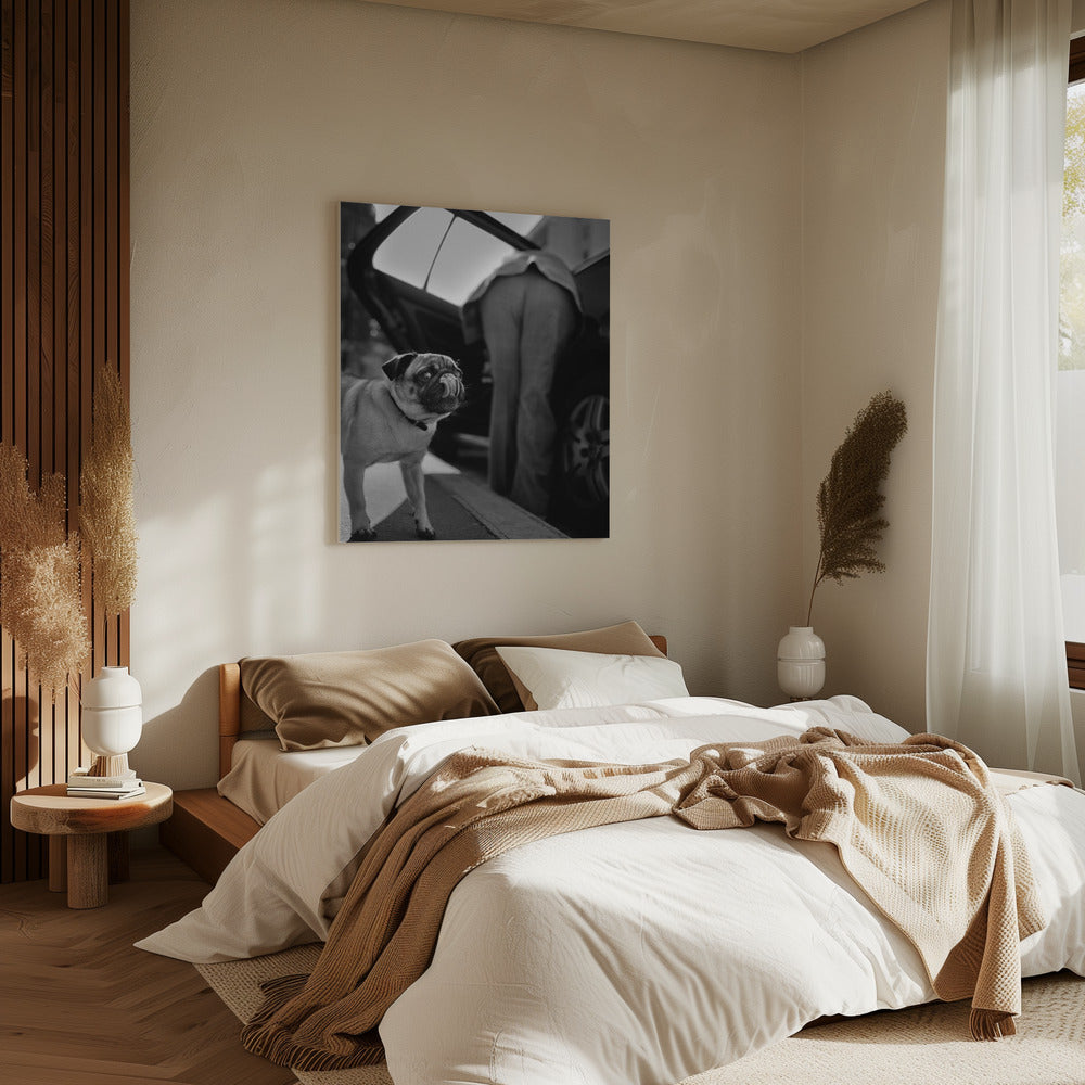 Untitled | Canvas