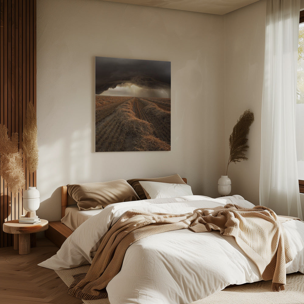 Untitled | Canvas