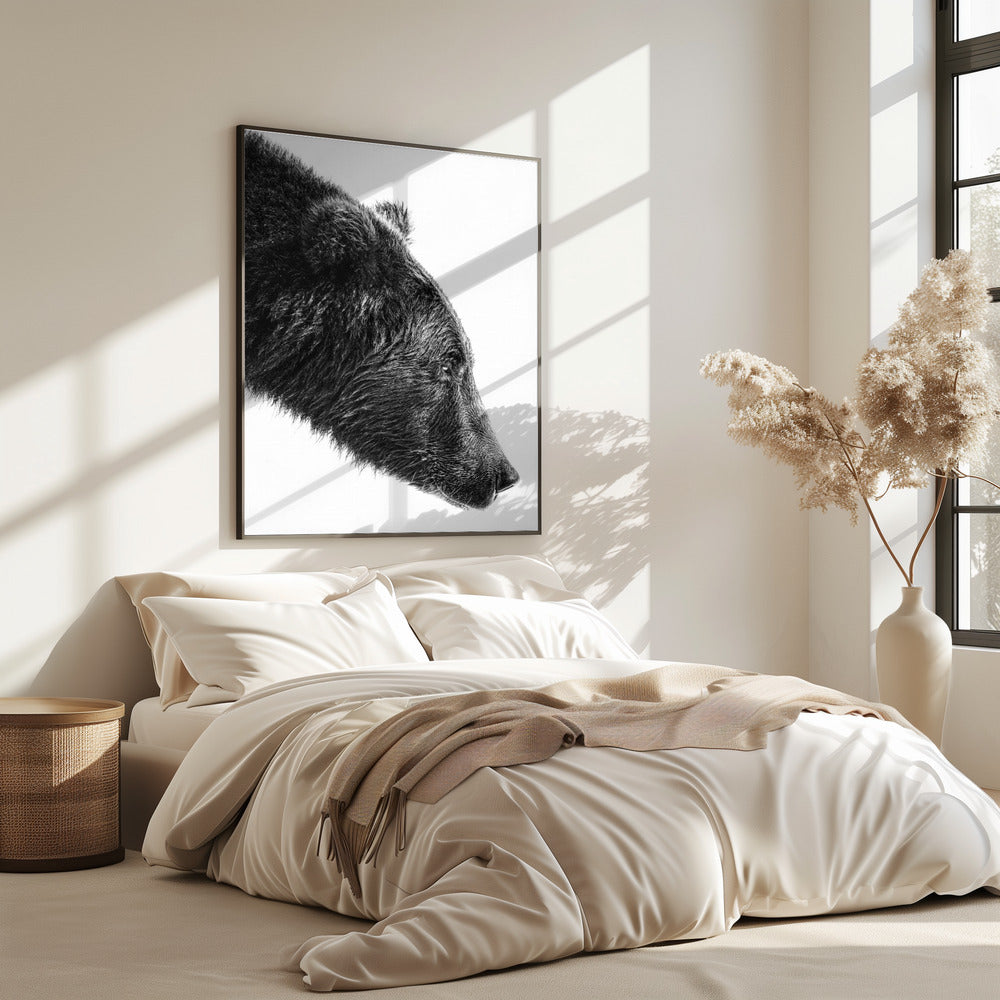 The Salmon Catcher | Poster