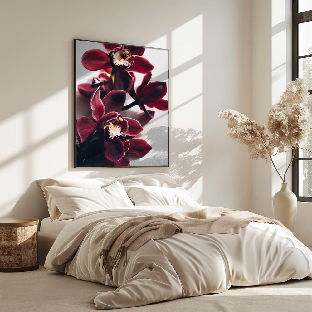 Red Orchids with Delicate Petals | Poster