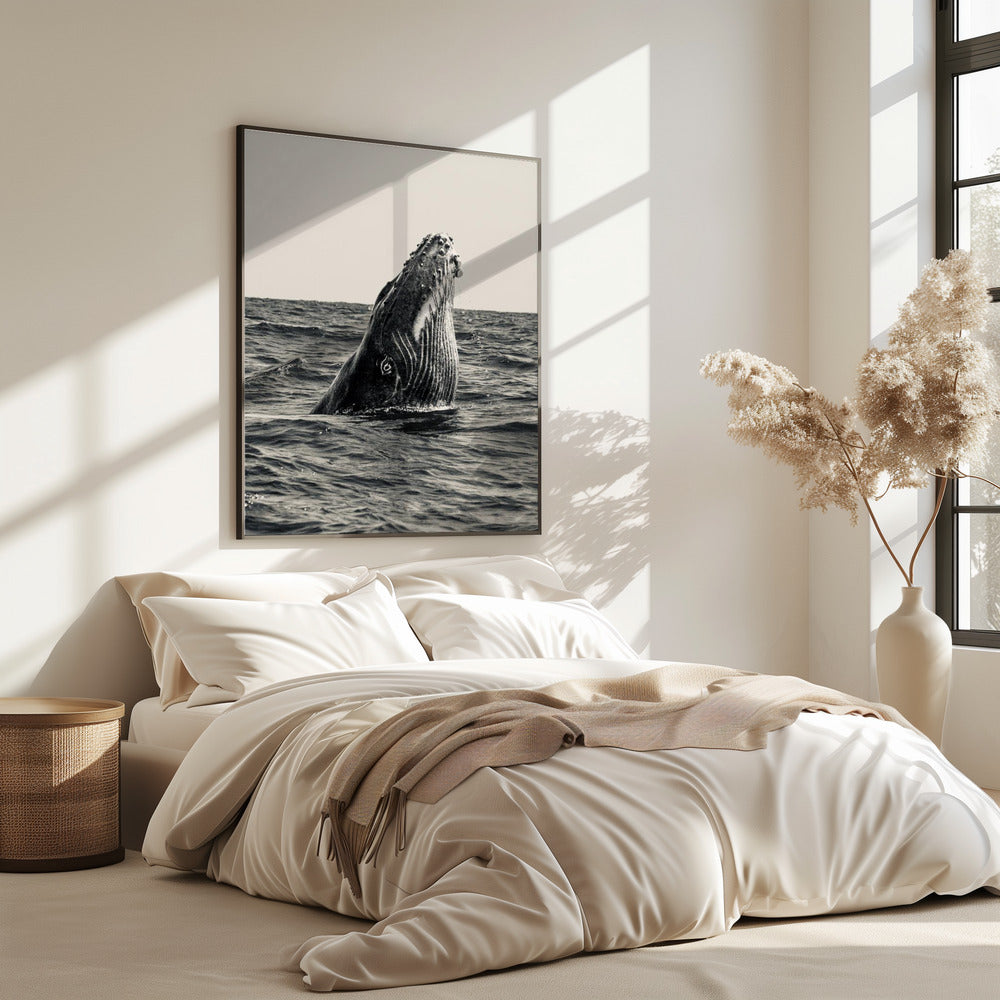 Secret of Whale | Poster