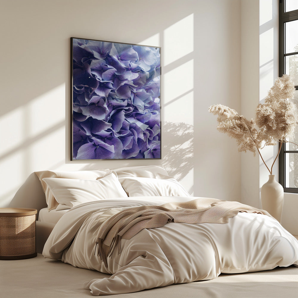 Vibrant Purple Hydrangea Flowers | Poster