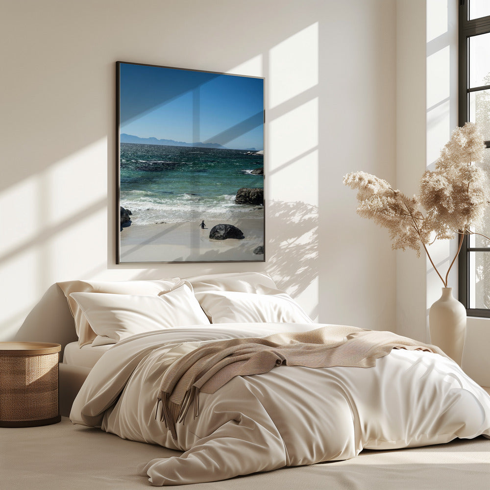 Penguin&#039;s Beach Walk | Poster
