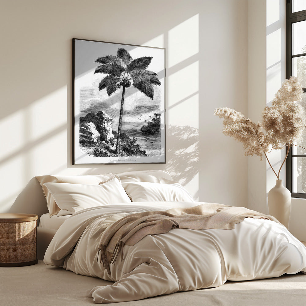 Vintage Palm Tree Drawing I | Poster