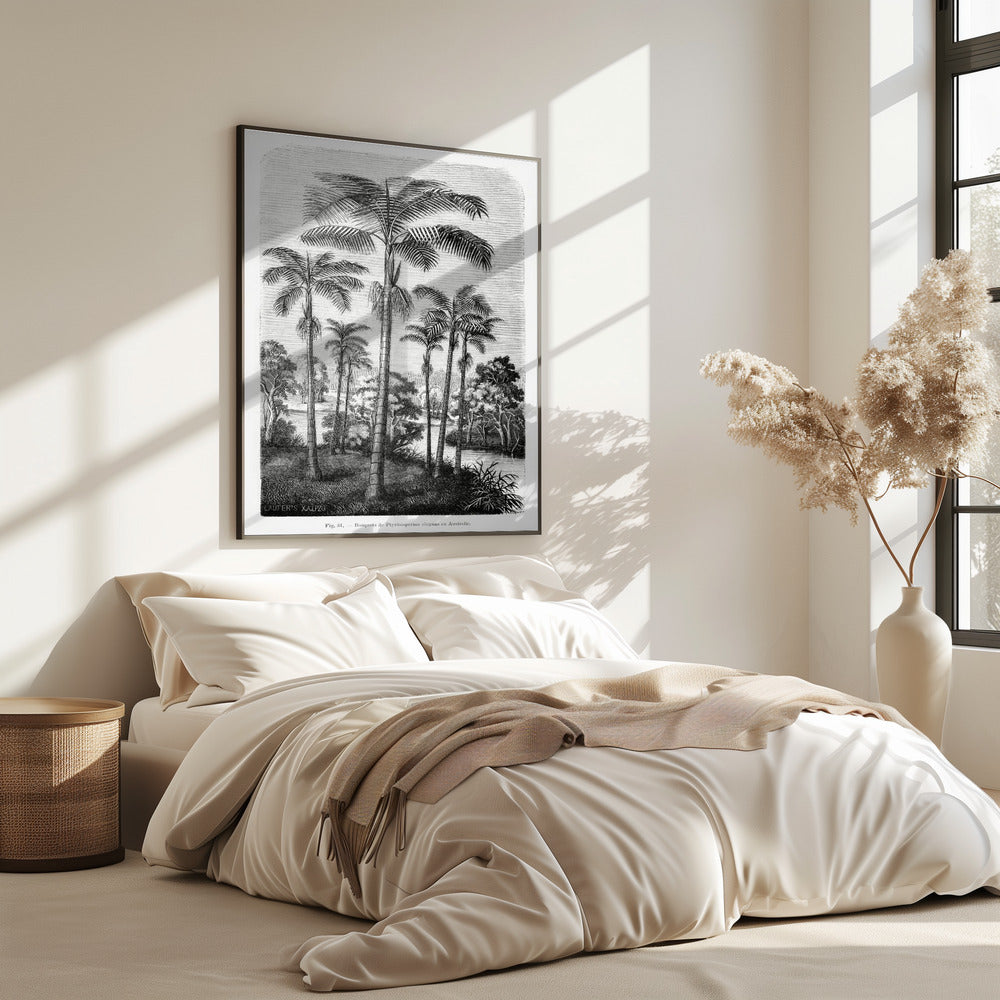 Vintage Palm Tree Drawing Ii | Poster