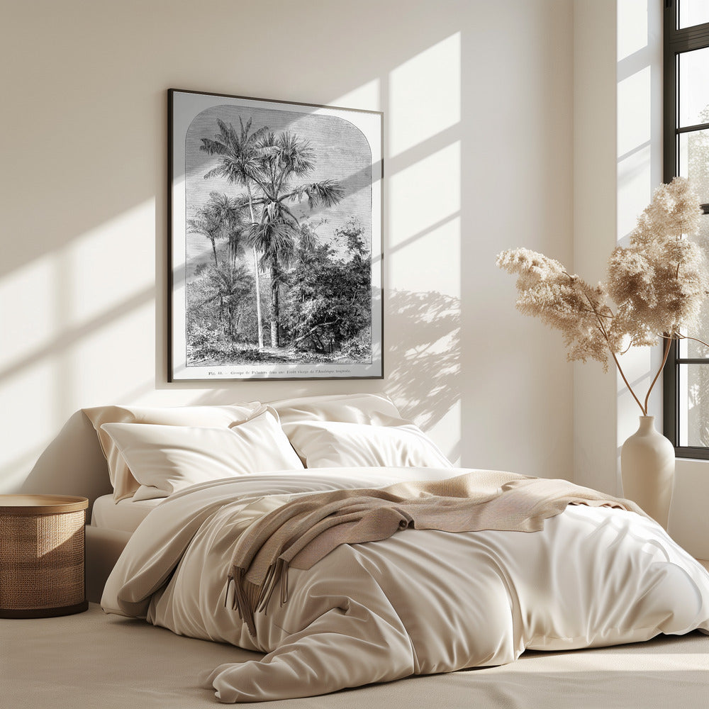 Vintage Palm Tree Drawing Iv | Poster