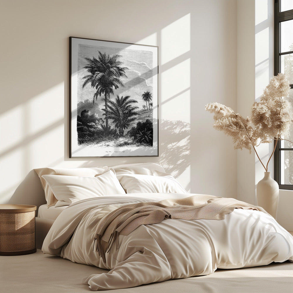 Vintage Palm Tree Drawing V | Poster