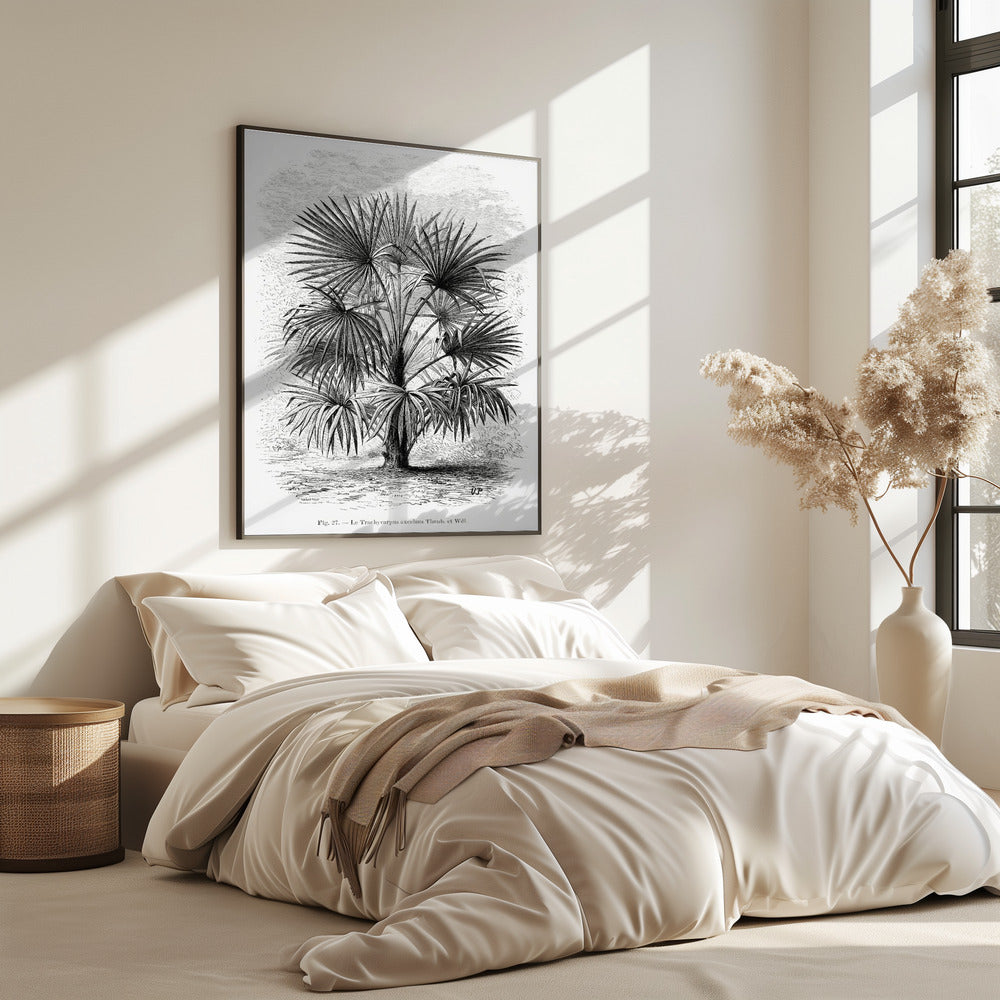 Vintage Palm Tree Drawing Xi | Poster