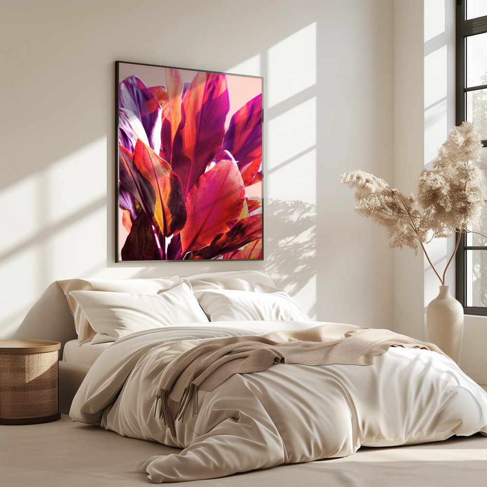 Fuchsia Leaves I | Poster