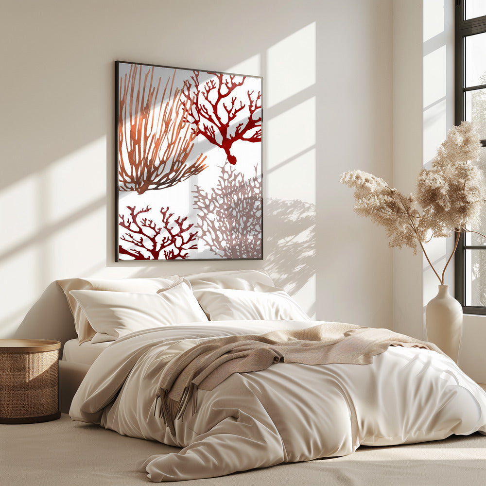 Pink and Red Sea Coral | Poster