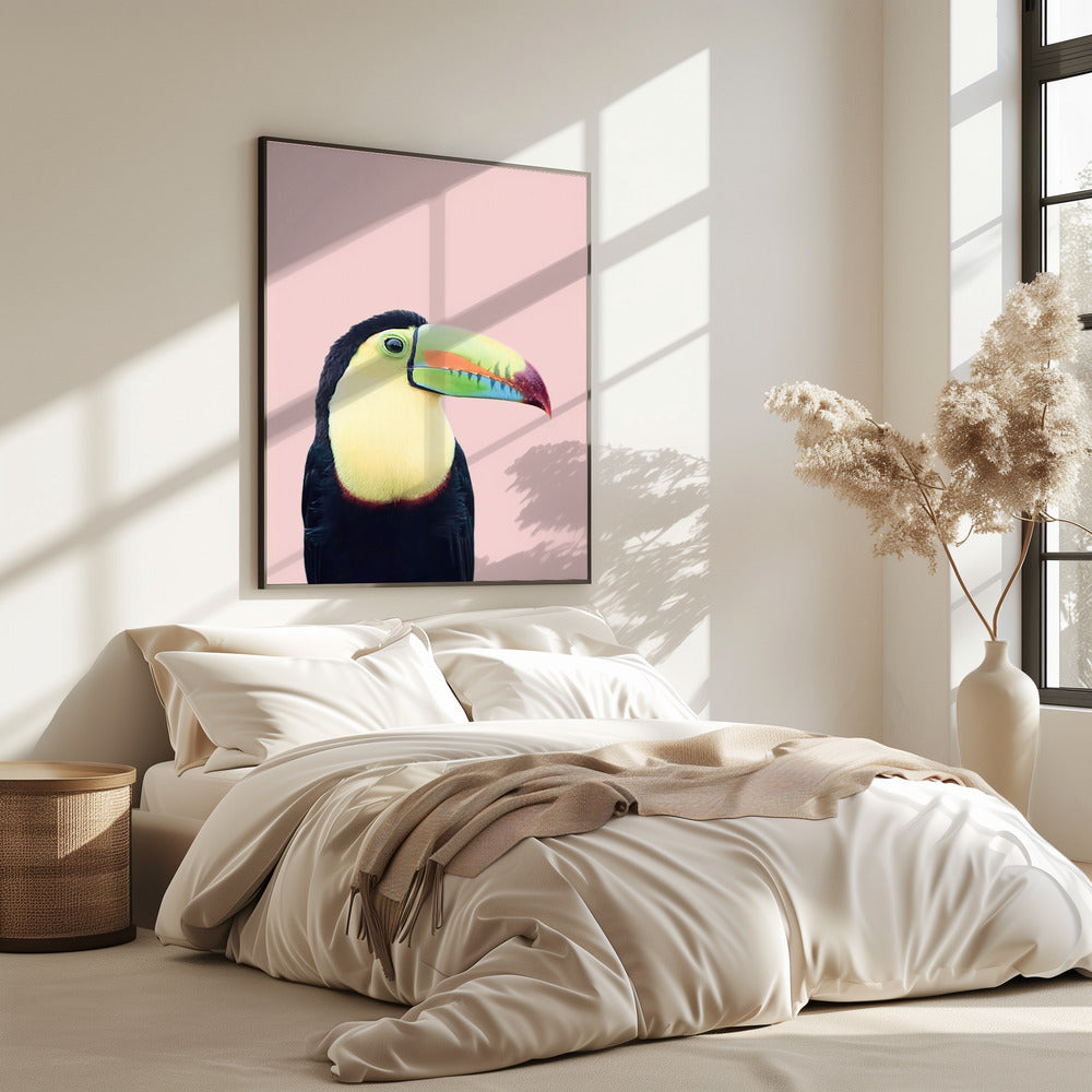Toucan on Pink | Poster