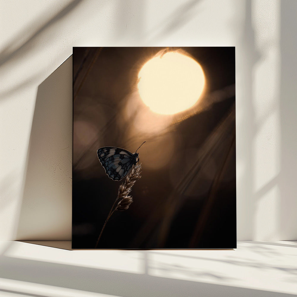 Communion avec les astres | Canvas