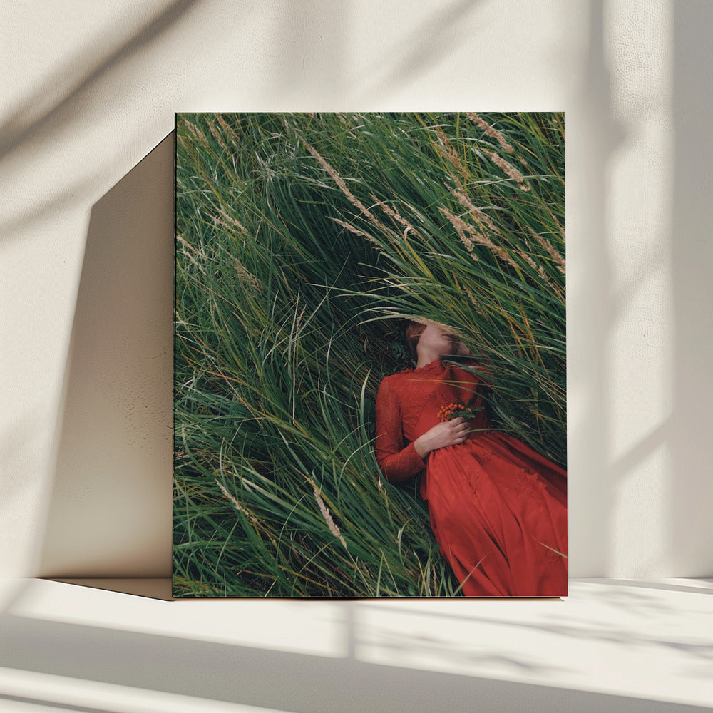 * | Canvas