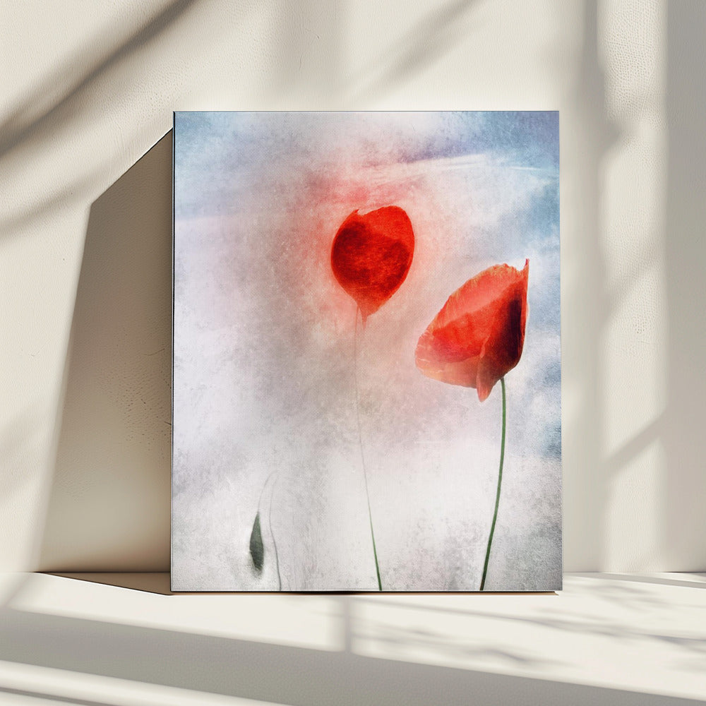In Flanders Fields | Canvas