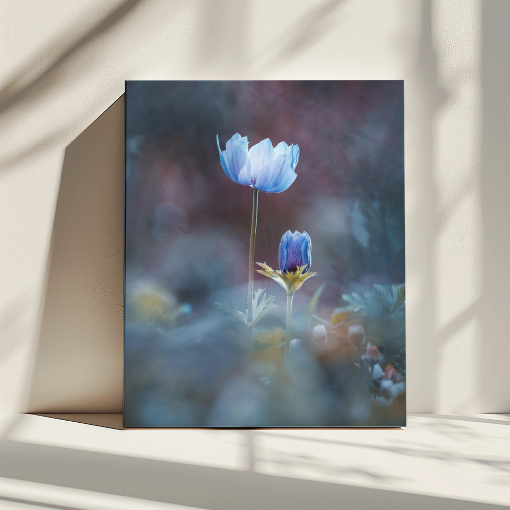 Growing Up | Canvas
