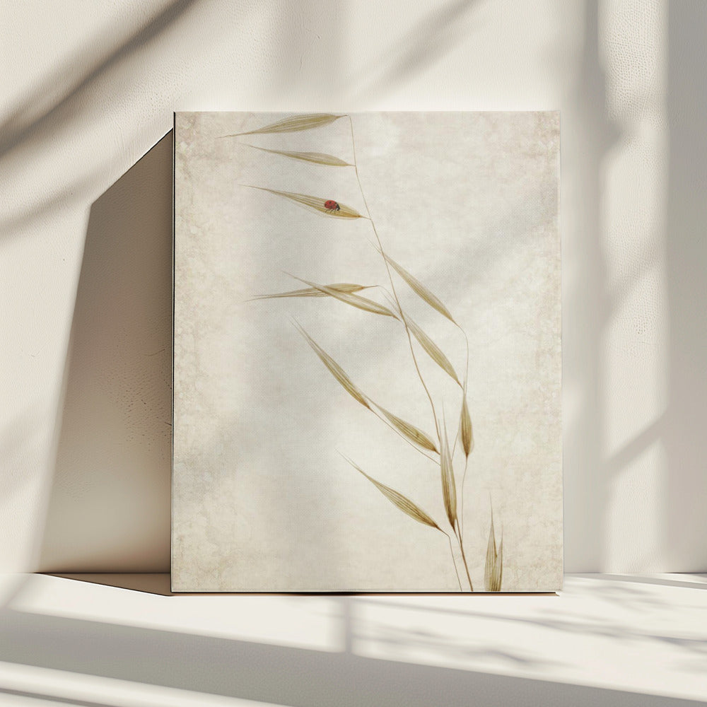 The Tenant | Canvas