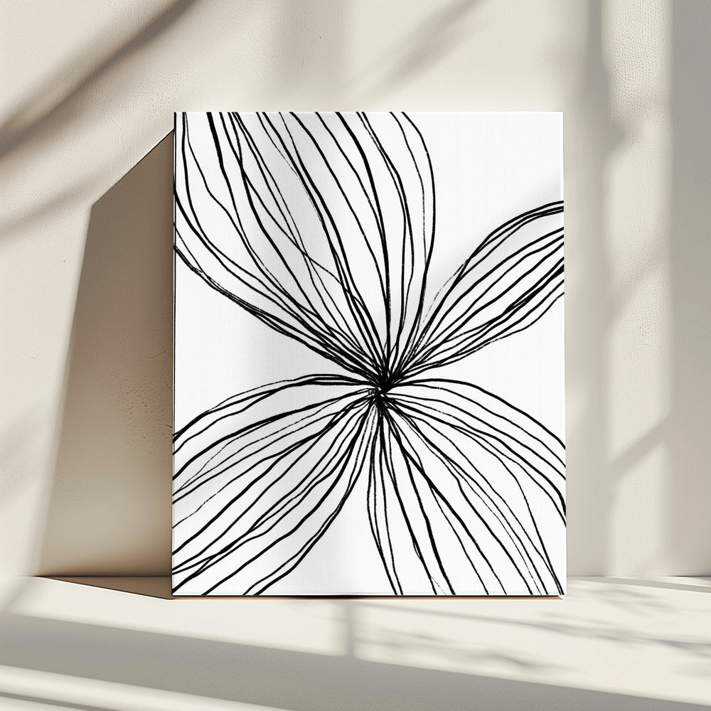 Flowing Petal Lines | Canvas