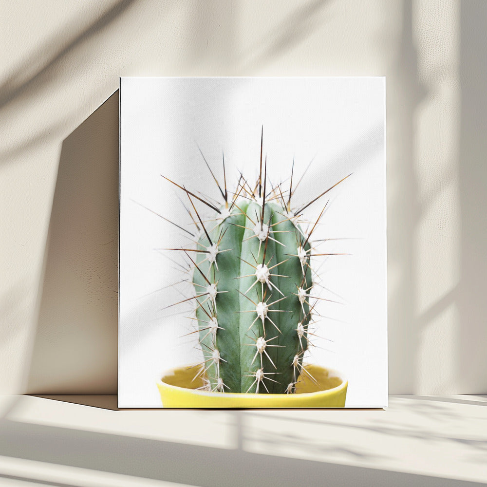 Spikey Cactus | Canvas