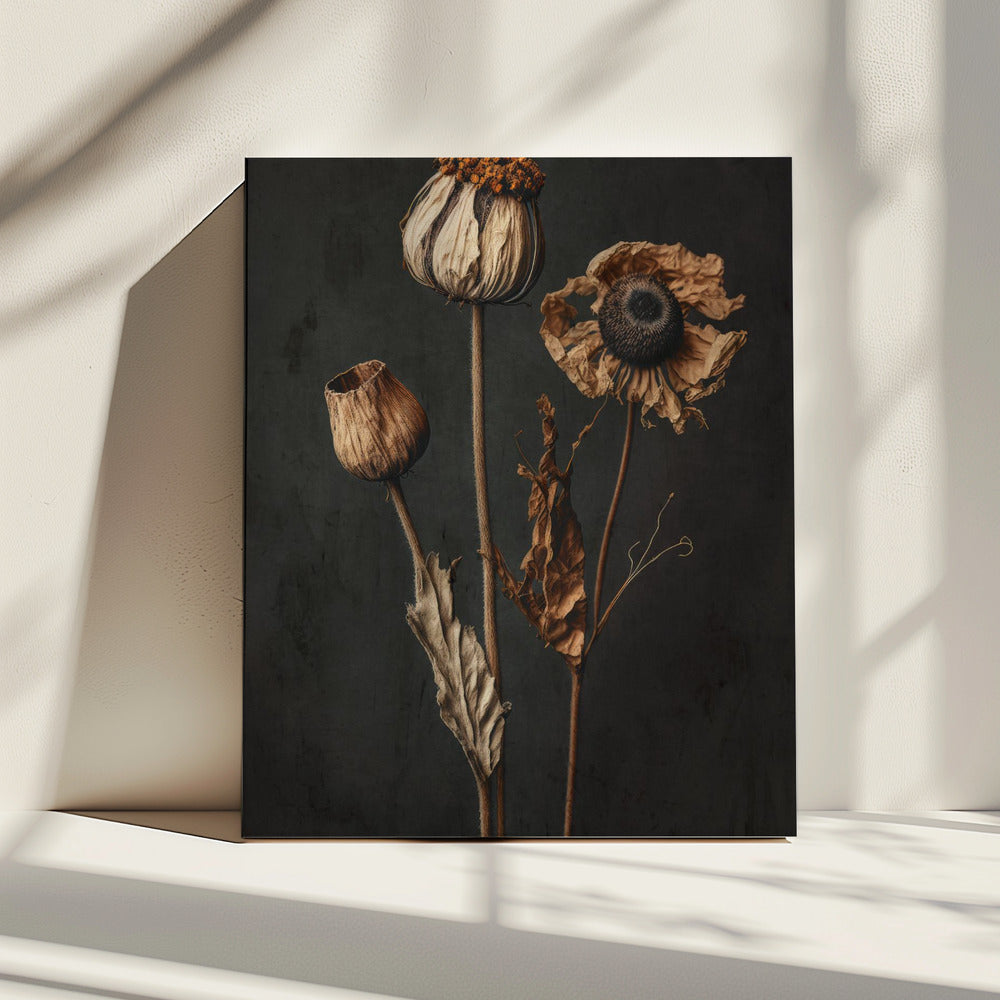 Withered Elegance | Canvas