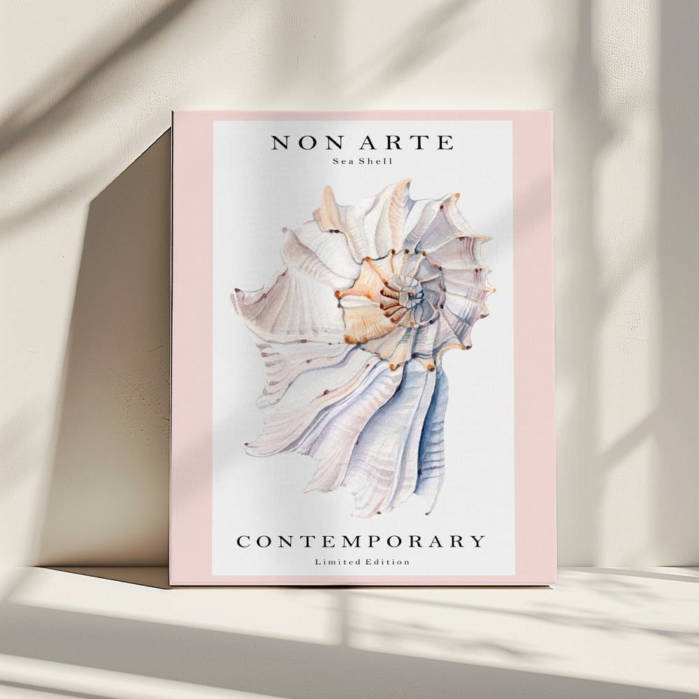 Non Arte Sea Shell no.1 | Canvas