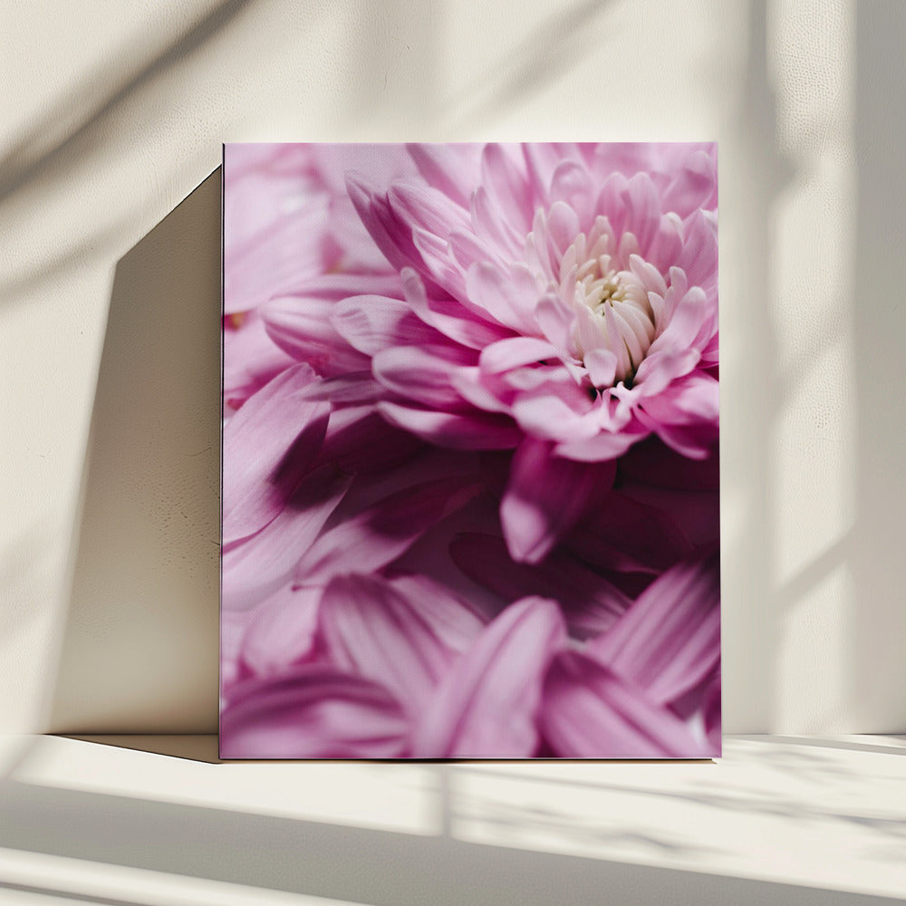 Pink Petal Symphony | Canvas