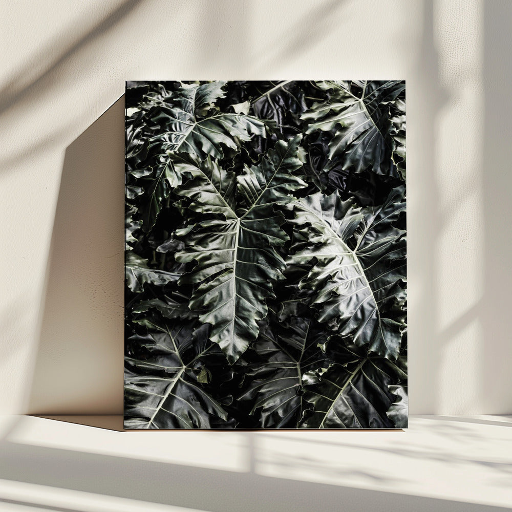 Lush Leaf Symphony | Canvas