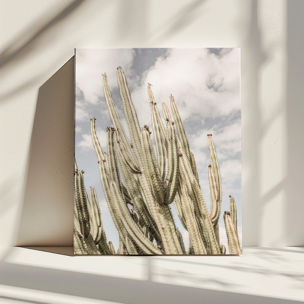 Desert Sentinels | Canvas