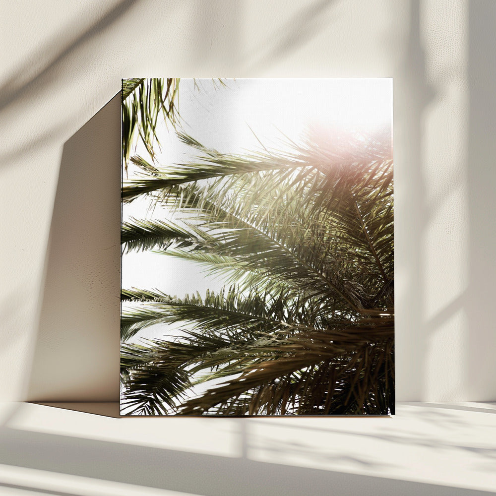 Sunlit Palm Dream | Canvas