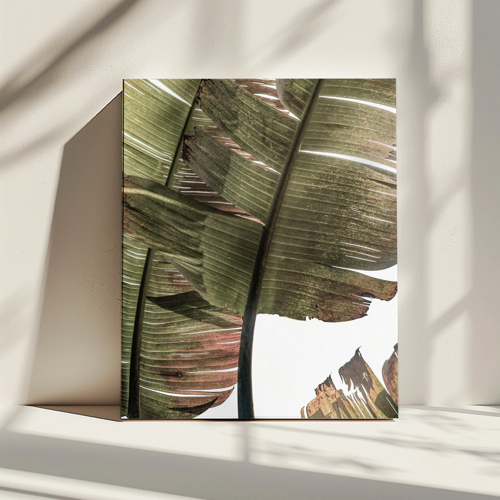 Tropical Serenity | Canvas