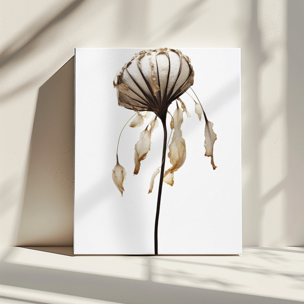 Withered Elegance | Canvas