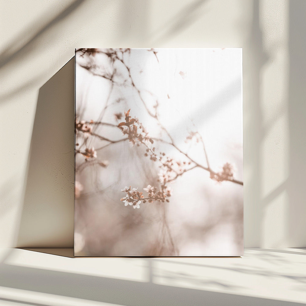 Last Spring 3 | Canvas