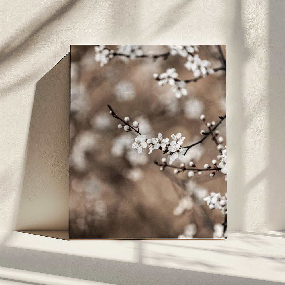 Last Spring 1 | Canvas