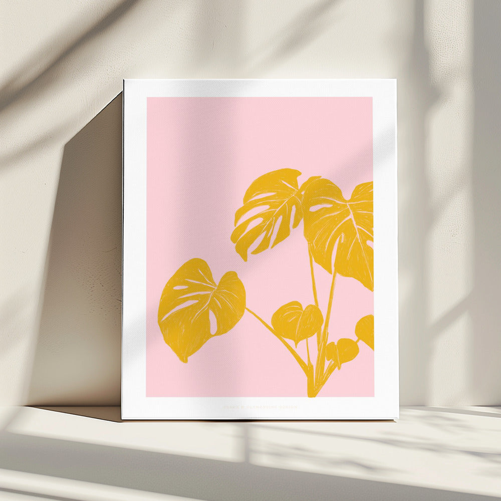 Pandc Houseplant Copy | Canvas