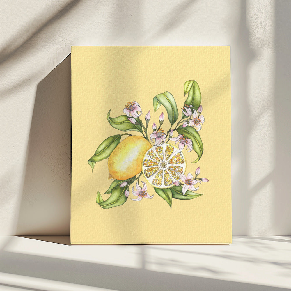 Lemon illustration | Canvas
