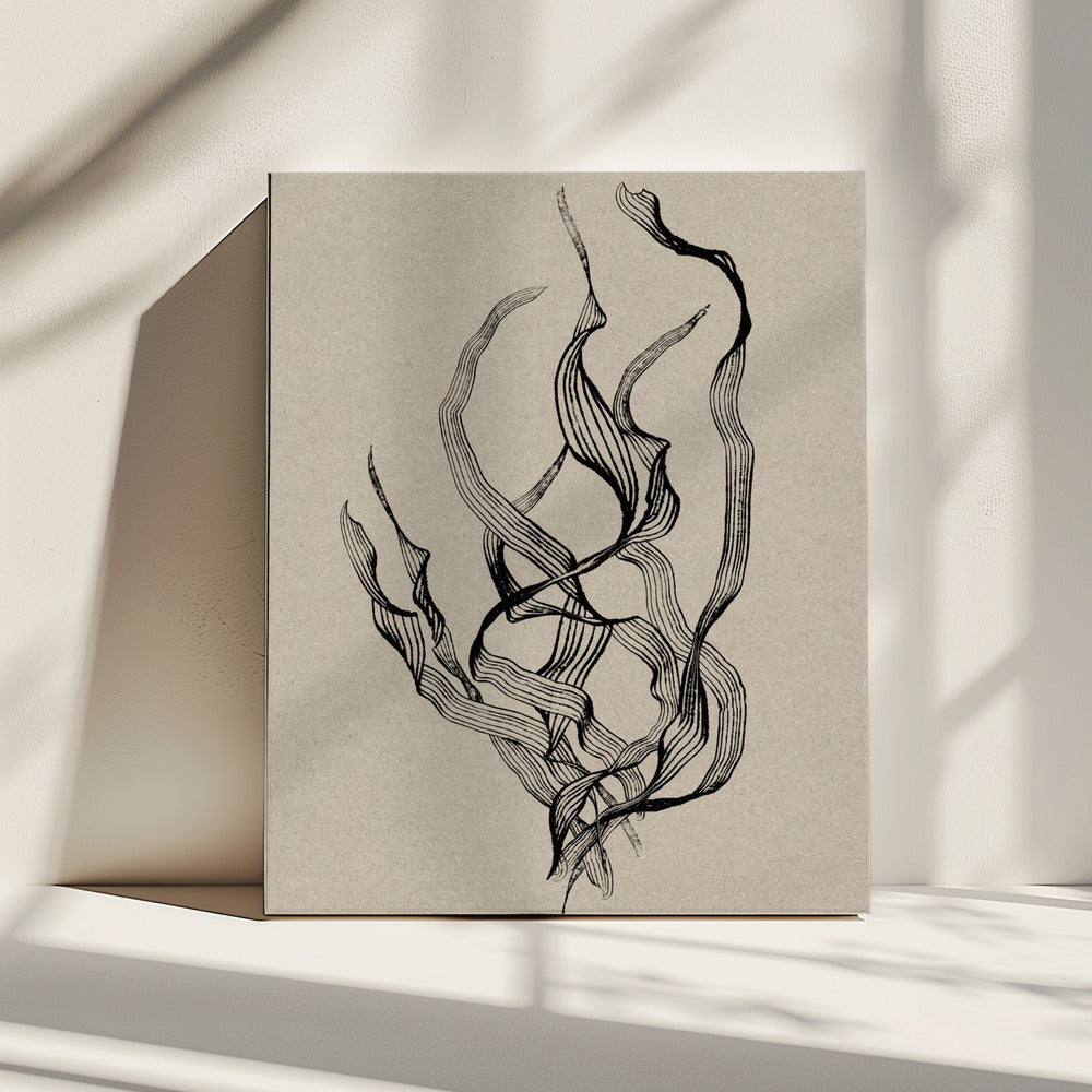 Delicate | Canvas