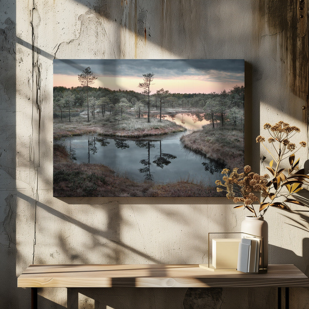 Spilled paint | Canvas