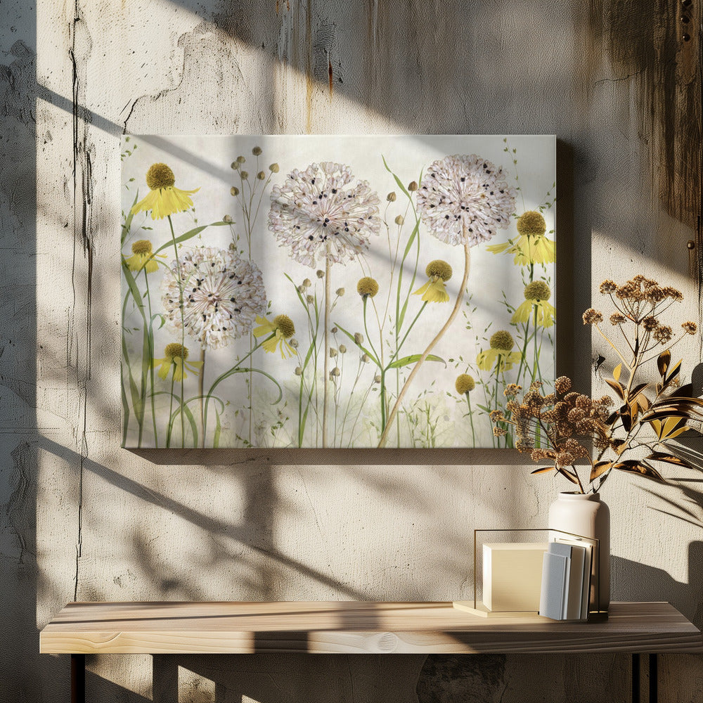 Alliums and heleniums | Canvas
